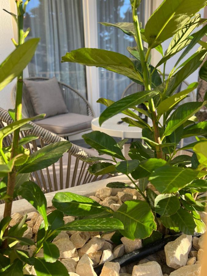 Apartament Sunset Huus Starigrad Paklenica Zewnętrze zdjęcie