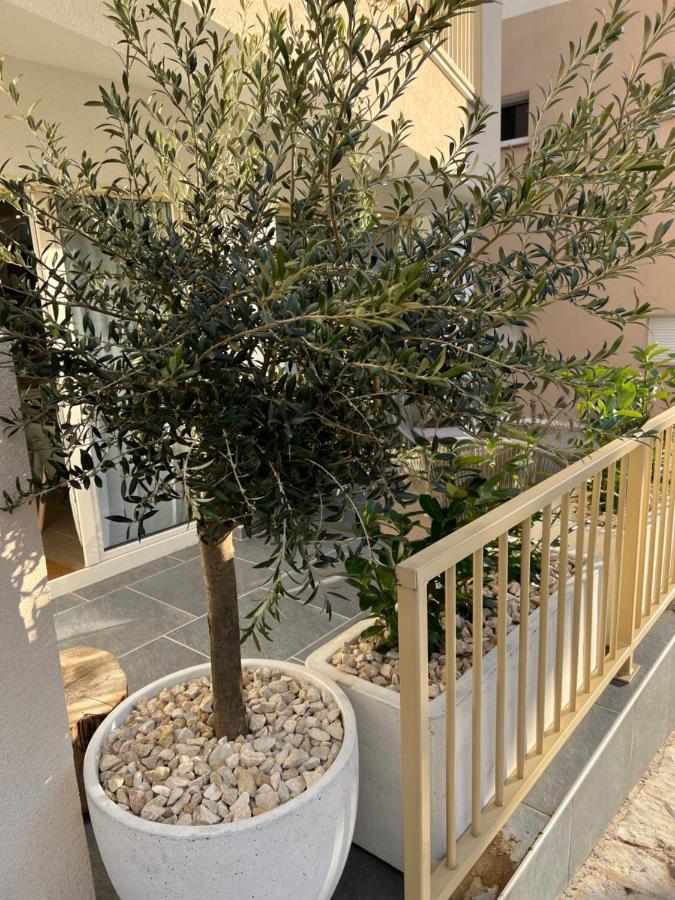 Apartament Sunset Huus Starigrad Paklenica Zewnętrze zdjęcie