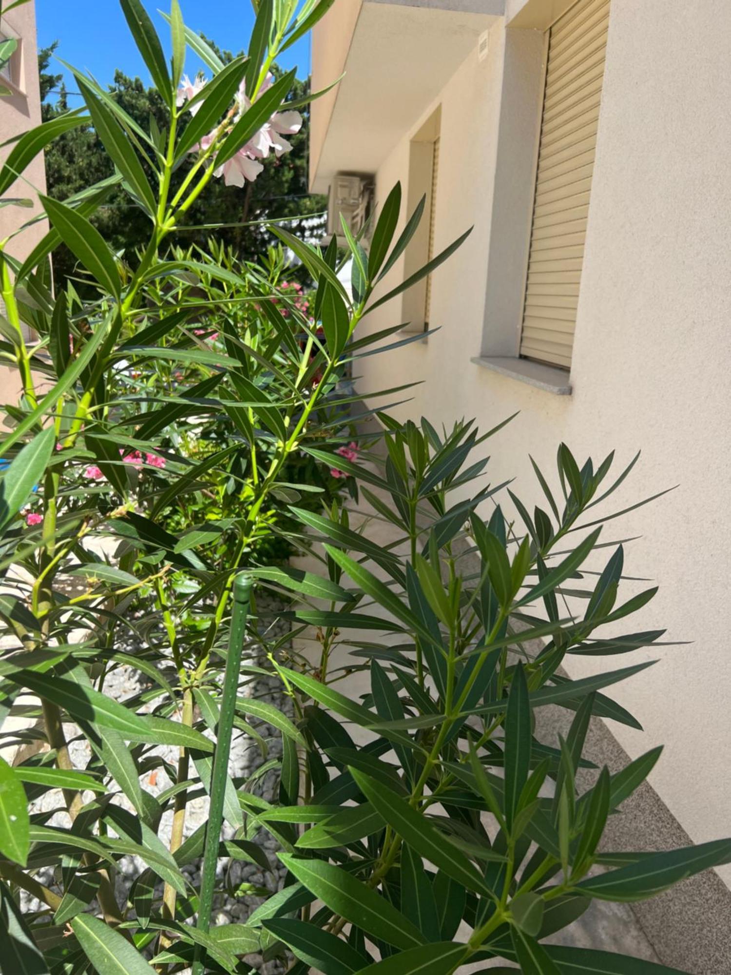 Apartament Sunset Huus Starigrad Paklenica Zewnętrze zdjęcie