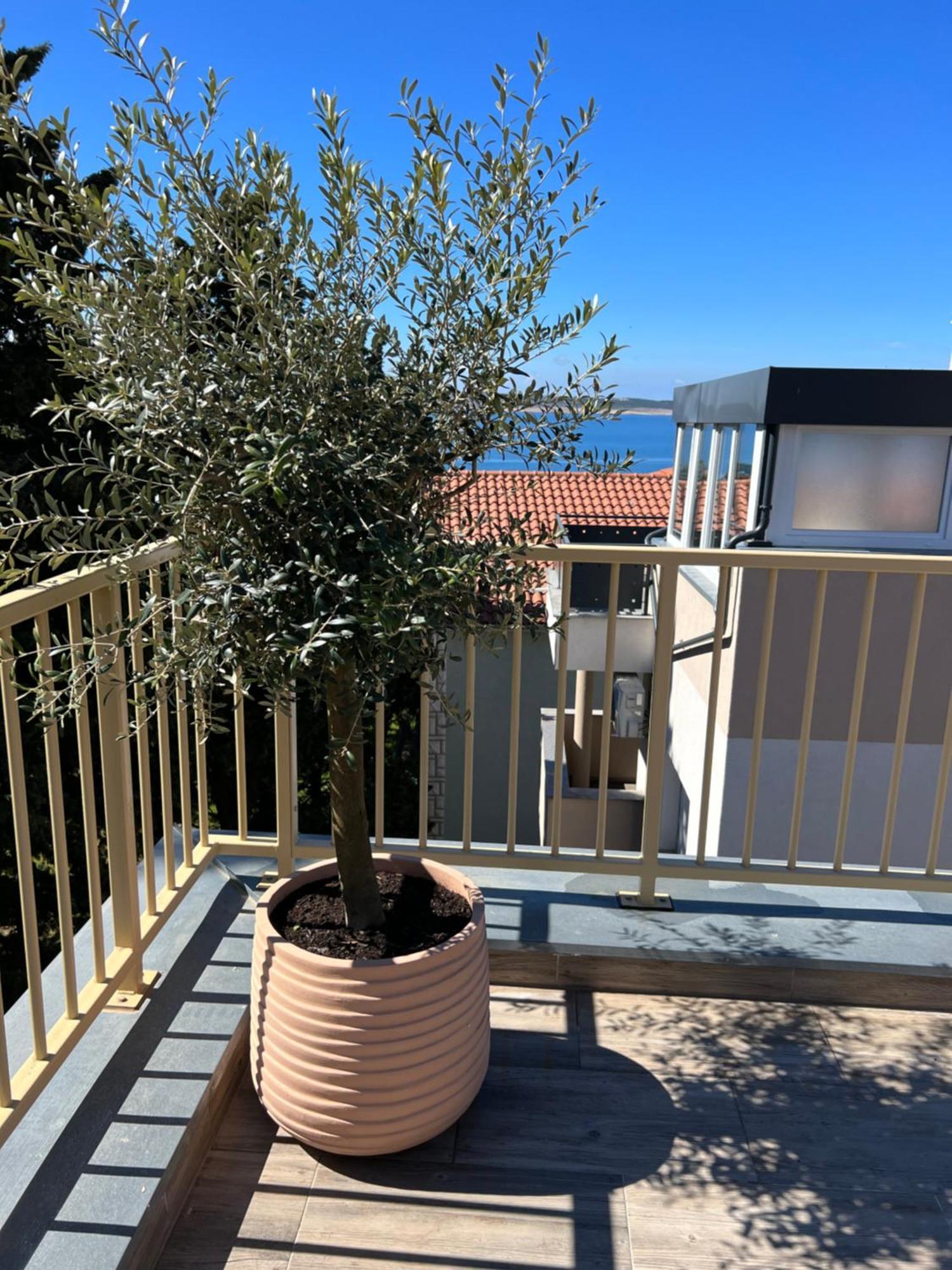 Apartament Sunset Huus Starigrad Paklenica Zewnętrze zdjęcie